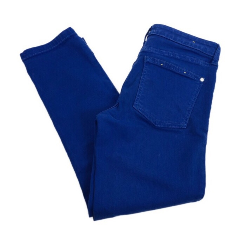 Pilcro and the Letterpress STET Blue Crop Pants 27